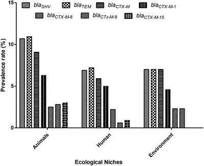 Occurrence of extended- spectrum β-lactamase harboring K. pneumoniae in various sources: a one health perspective